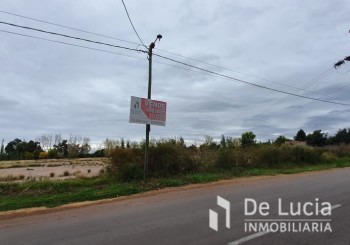 Maza / Ruta 60 - Cruz De Piedra - Maipu | Mendoza