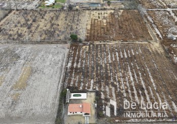 SANTOS LUGARES Y CARRIL CENTRO