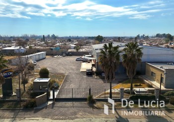 Lateral Nte. - - San Martin | Mendoza