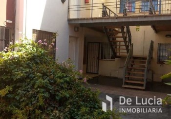 Molina - - Guaymallen | Mendoza